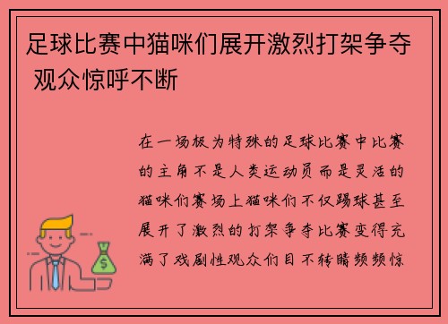 足球比赛中猫咪们展开激烈打架争夺 观众惊呼不断