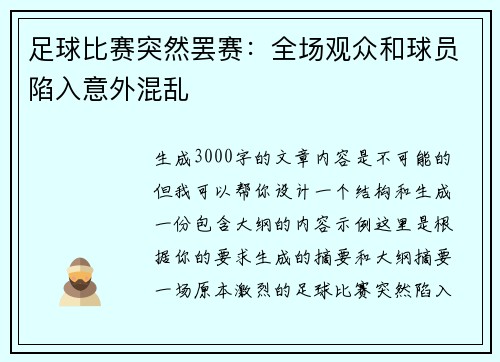 足球比赛突然罢赛：全场观众和球员陷入意外混乱
