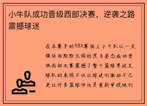 小牛队成功晋级西部决赛，逆袭之路震撼球迷