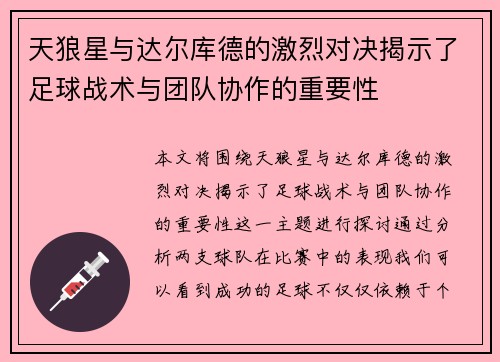 天狼星与达尔库德的激烈对决揭示了足球战术与团队协作的重要性