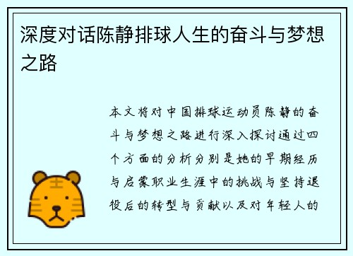 深度对话陈静排球人生的奋斗与梦想之路